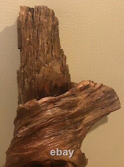 12 Gnome Wood Spirit Tree Hand Carved Pine Knot By Nc Artist J. D. Price