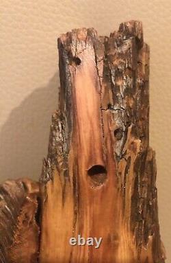 12 Gnome Wood Spirit Tree Hand Carved Pine Knot By Nc Artist J. D. Price