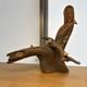 14 Religious Santos Natural Wood Carving Ernesto Salazar Folk Art 2006 Taos Nm