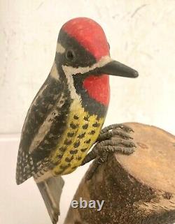 1940's Folk Art Wood Carving Yellow Bellied Sapsucker