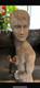 1960s Flag Holder Wood Statue Carved Rare Americana Folk-art