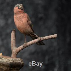 19th Century German Folk art Carved Birds