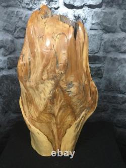 26 Red Cedar Nordic Green Man Carved Effigy (Struck By Lightning)