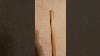 A Rose By Any Other Name Dremel Woodcarving Folkart Carving Powercarving Walkingstick