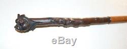 Antique 19th century hand carved bulldog root wood Folk Art walking stick cane