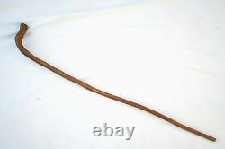 Antique American Folk Art Cane Carved Stylized Dog Walking Stick Collector Grade