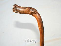 Antique American Folk Art Cane Carved Stylized Dog Walking Stick Collector Grade