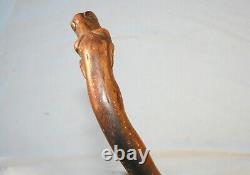Antique American Folk Art Cane Carved Stylized Dog Walking Stick Collector Grade