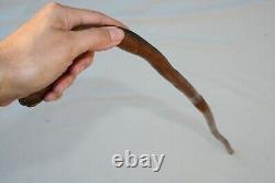 Antique American Folk Art Cane Carved Stylized Dog Walking Stick Collector Grade