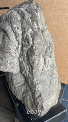 Antique Carved Stone Bust Folk Art Tennessee Late 1800s Carving