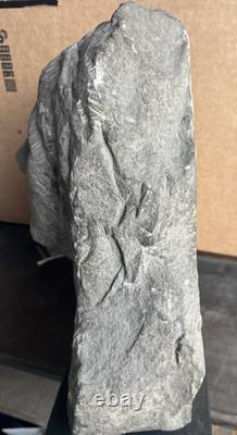 Antique Carved Stone Bust Folk Art Tennessee Late 1800s Carving Antique Carved Stone Bust Folk Art Tennessee Late 1800s Carving