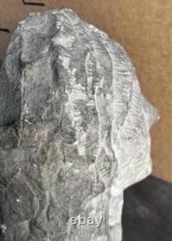 Antique Carved Stone Bust Folk Art Tennessee Late 1800s Carving