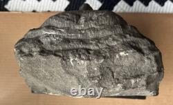 Antique Carved Stone Bust Folk Art Tennessee Late 1800s Carving