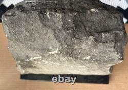 Antique Carved Stone Bust Folk Art Tennessee Late 1800s Carving