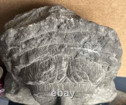 Antique Carved Stone Bust Folk Art Tennessee Late 1800s Carving