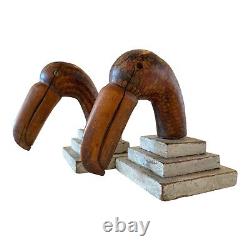 Antique Folk Art Wood Carved Painted Toucan Bird Bookends with Glass Eyes
