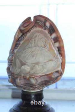 Antique Victorian Carved Seashell on Wood Stand Old Folk Art