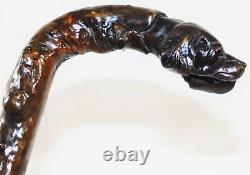 Atq 1800's Folk Art Wood Carved Glass Eye Setter Dog Head Walking Stick Cane