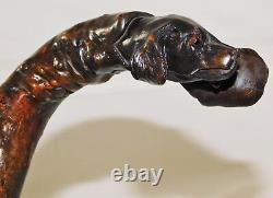 Atq 1800's Folk Art Wood Carved Glass Eye Setter Dog Head Walking Stick Cane