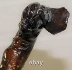 Atq 1800's Folk Art Wood Carved Glass Eye Setter Dog Head Walking Stick Cane