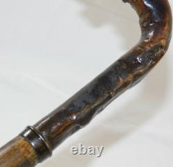 Atq 1800's Folk Art Wood Carved Glass Eye Setter Dog Head Walking Stick Cane