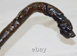 Atq 1800's Folk Art Wood Carved Glass Eye Setter Dog Head Walking Stick Cane