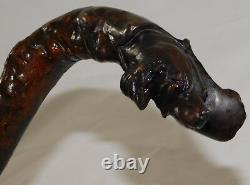 Atq 1800's Folk Art Wood Carved Glass Eye Setter Dog Head Walking Stick Cane