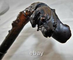 Atq 1800's Folk Art Wood Carved Glass Eye Setter Dog Head Walking Stick Cane