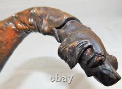 Atq 1800's Folk Art Wood Carved Glass Eye Setter Dog Head Walking Stick Cane