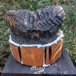 Bear In A Wash Tub Chansaw Carving Fat Bear Cub Funny Cartoon Folk Art Pine