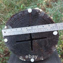 Bear In A Wash Tub Chansaw Carving Fat Bear Cub Funny Cartoon Folk Art Pine