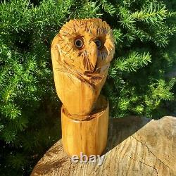 Beautiful Black Locust Wood Chainsaw Carved Owl Folk Art OOAK