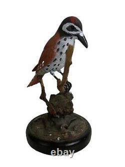 Bird on Perch Hand Carved Painted Wood Folk Art Glass Eyes Red Feathers