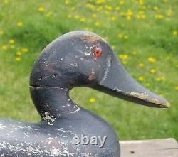 CARVED Canvasback WOOD decoy Illinois Wilcoxen folk art