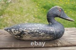 CARVED Canvasback WOOD decoy Illinois Wilcoxen folk art