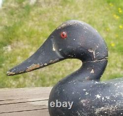 CARVED Canvasback WOOD decoy Illinois Wilcoxen folk art