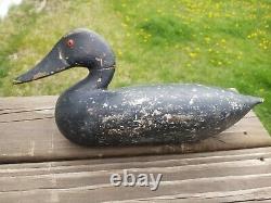 CARVED Canvasback WOOD decoy Illinois Wilcoxen folk art