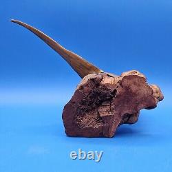 Carved Wood Ringneck Pheasant Folk Art Mounted On Burl Wood 10 In Long