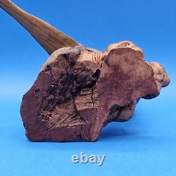 Carved Wood Ringneck Pheasant Folk Art Mounted On Burl Wood 10 In Long