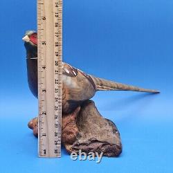 Carved Wood Ringneck Pheasant Folk Art Mounted On Burl Wood 10 In Long