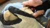Carving The Folk Art Crane Part 1