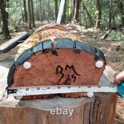 Chainsaw Carving Gossamer Monster We Are Not Your Kind Sign Smoking 19 Tall