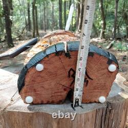 Chainsaw Carving Gossamer Monster We Are Not Your Kind Sign Smoking 19 Tall