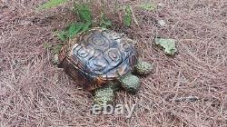 Chainsaw Carving Turtle Tortoise Wood Carving Wood Sculptures Garden Art