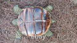 Chainsaw Carving Turtle Tortoise Wood Carving Wood Sculptures Garden Art
