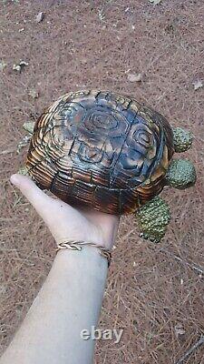 Chainsaw Carving Turtle Tortoise Wood Carving Wood Sculptures Garden Art