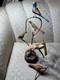 Dan And Barbara Strawser Hand-carved/painted Wood Birds In Tree Sculpture-read