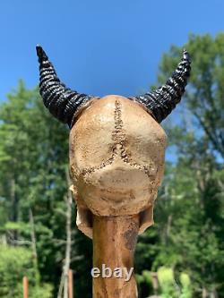 Demon Skull Head Poplar Hand Carved Spiral Walking Stick