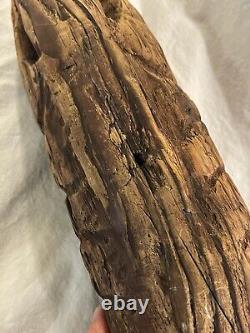 Early Antique Primitive Folk Art Carved Wooden Fish Nautical Trade Sign