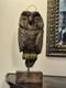 Early Vintage Owl Decoy -signed- Hand Carved And Painted Folk Art Primitive Bird